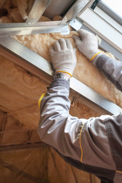 Best Wall Insulation Contractor  in Lavon, TX