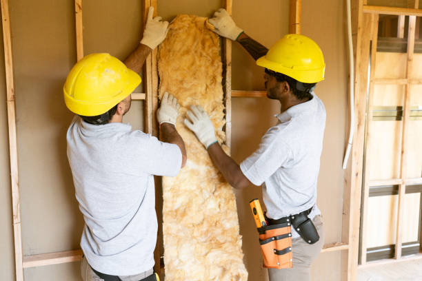 Insulation for Commercial Buildings in Lavon, TX