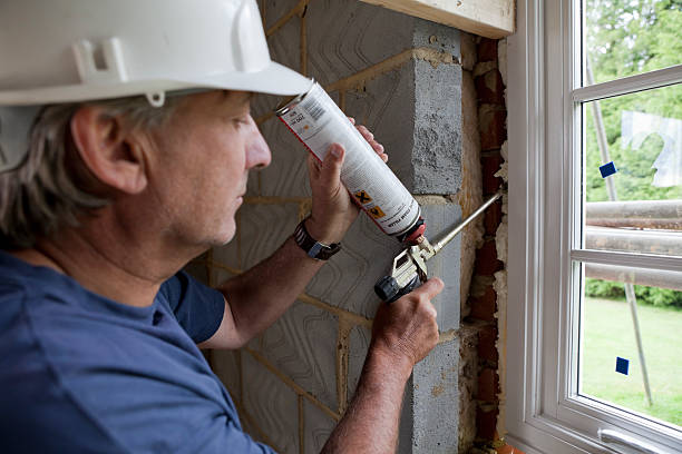 Best Spray Foam Insulation  in Lavon, TX