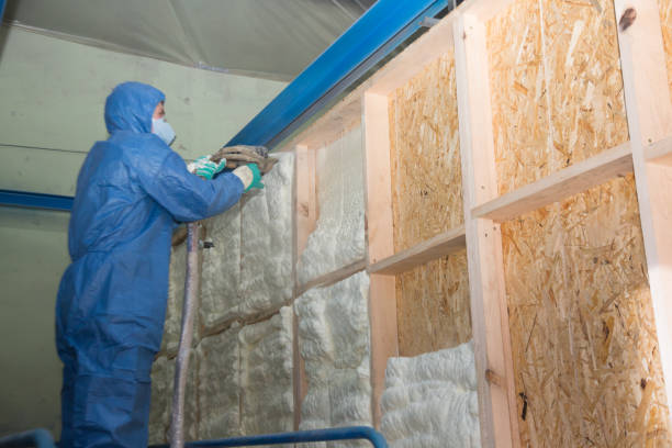 Best Home Insulation Services  in Lavon, TX