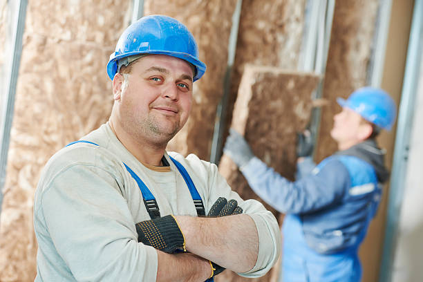Best Wall Insulation Contractor  in Lavon, TX