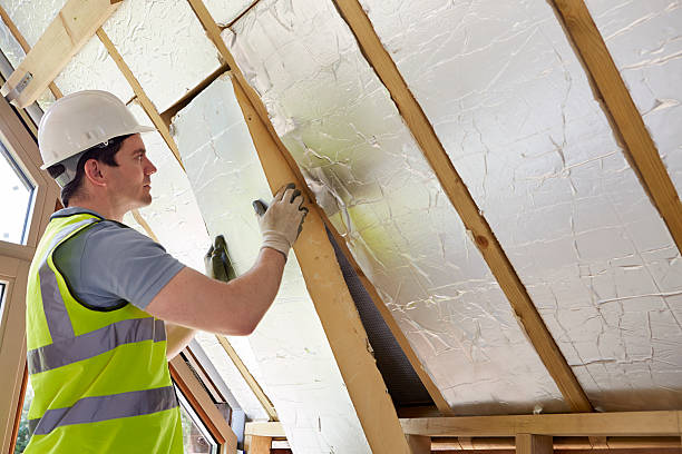 Best Commercial Insulation Contractor  in Lavon, TX